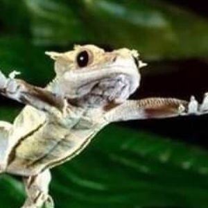 Meet your Posher, Dj